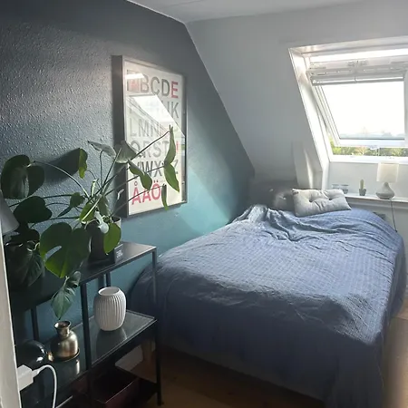 Penthouse Med Udsigt Apartment